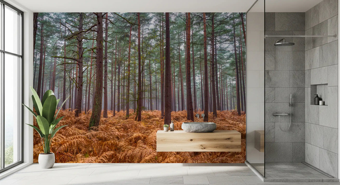 Wandbild Kiefernwald & Glutfarne