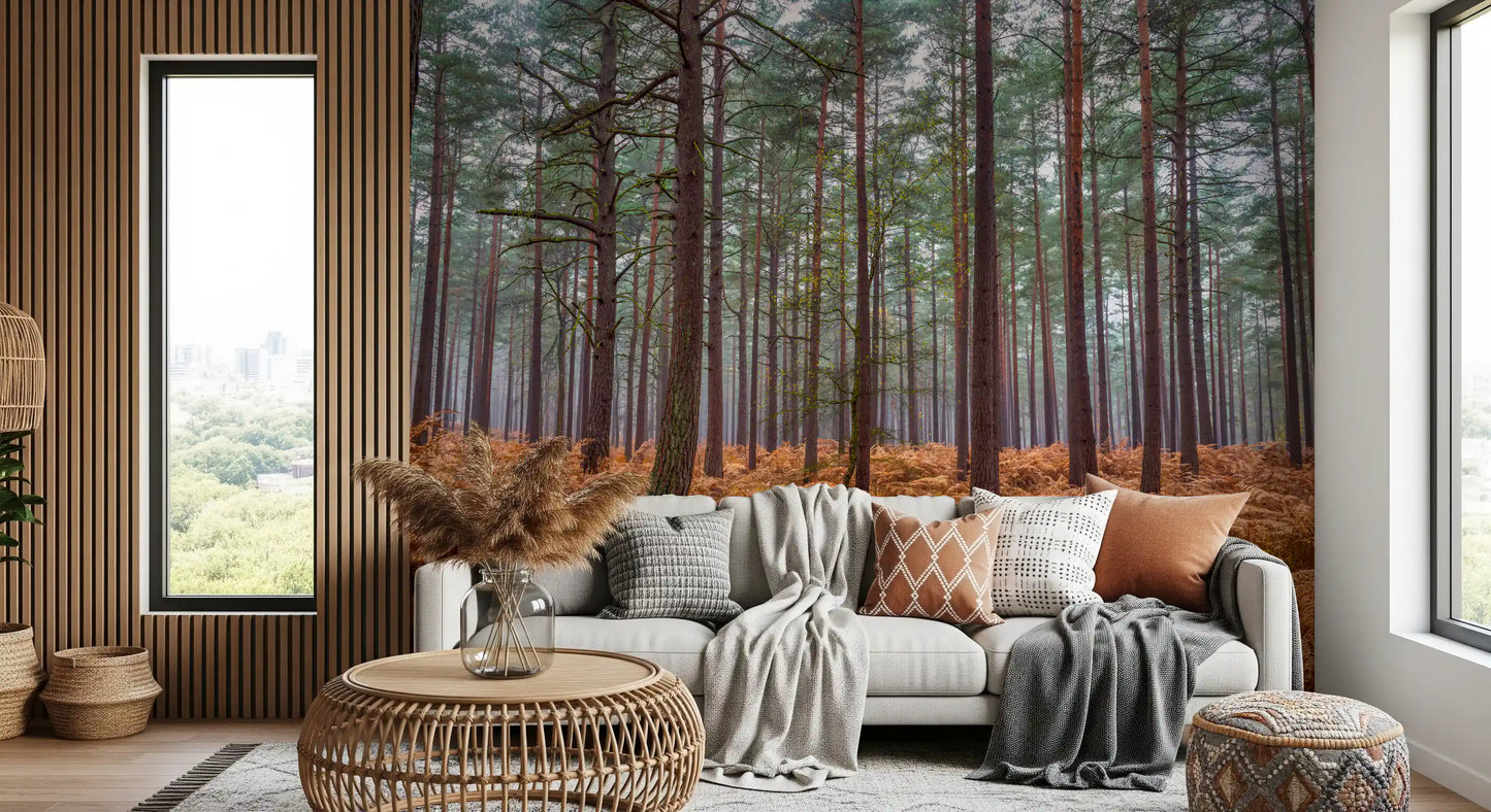 Wandbild Kiefernwald & Glutfarne