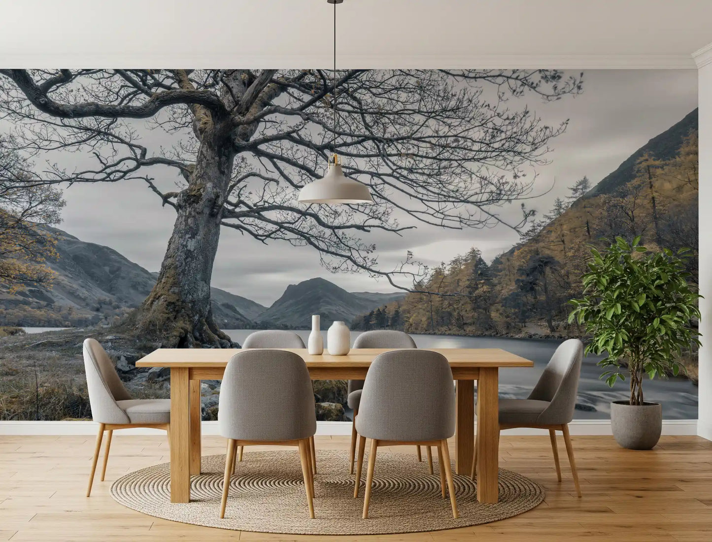 Ancient Oak, Silent Waters Wandbild