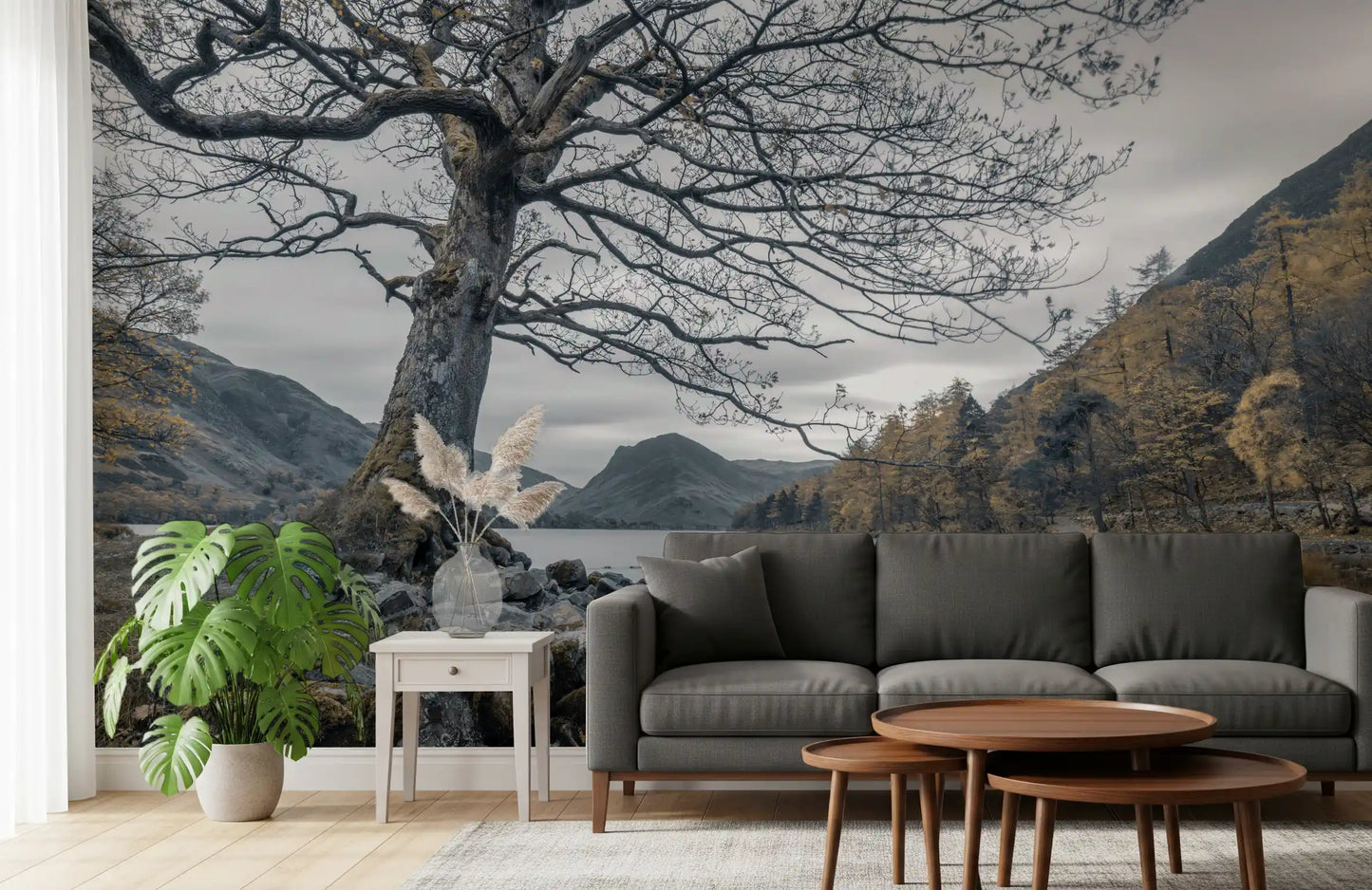 Ancient Oak, Silent Waters Wandbild