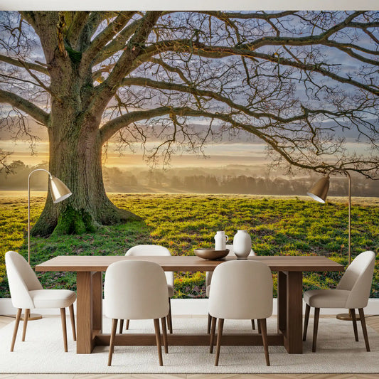 Golden oak tree wall mural with misty hills at sunrise