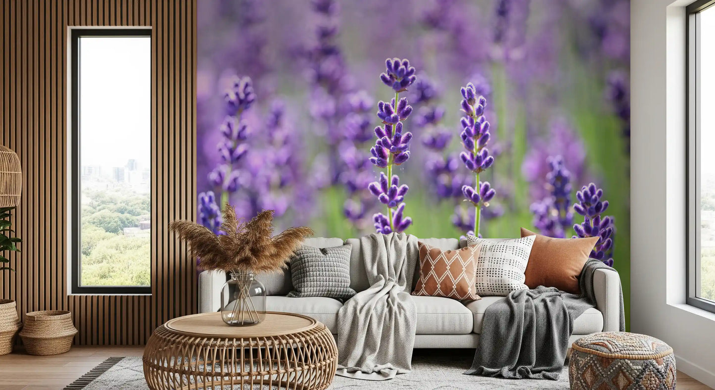 Wandbild Sanfte Lavendelblüten