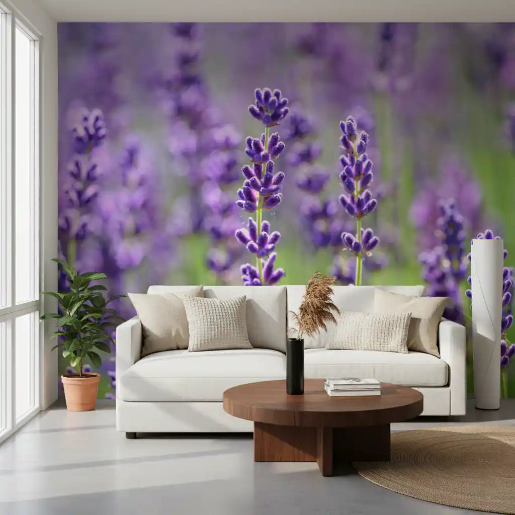 Wandbild Sanfte Lavendelblüten