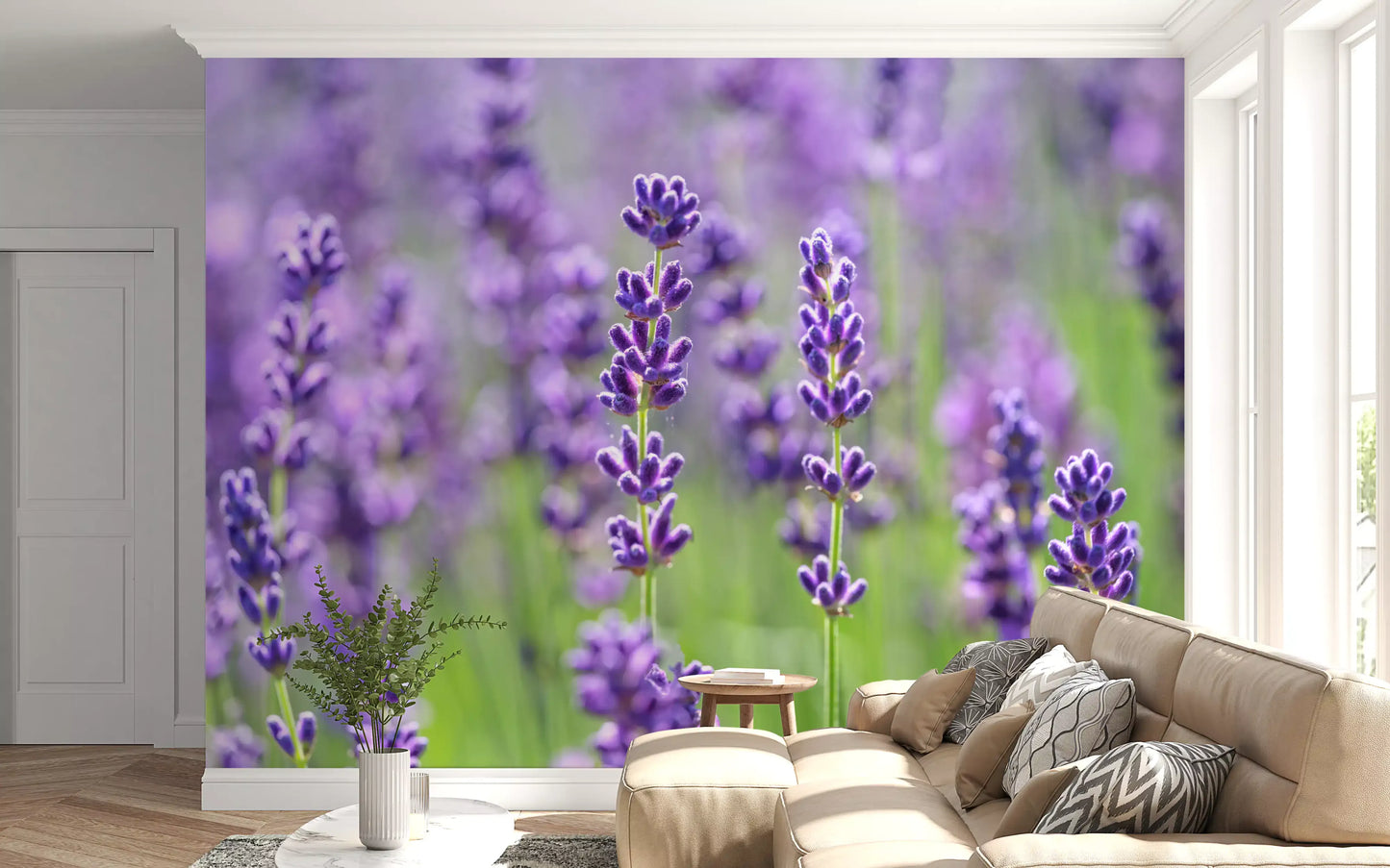 Wandbild Sanfte Lavendelblüten