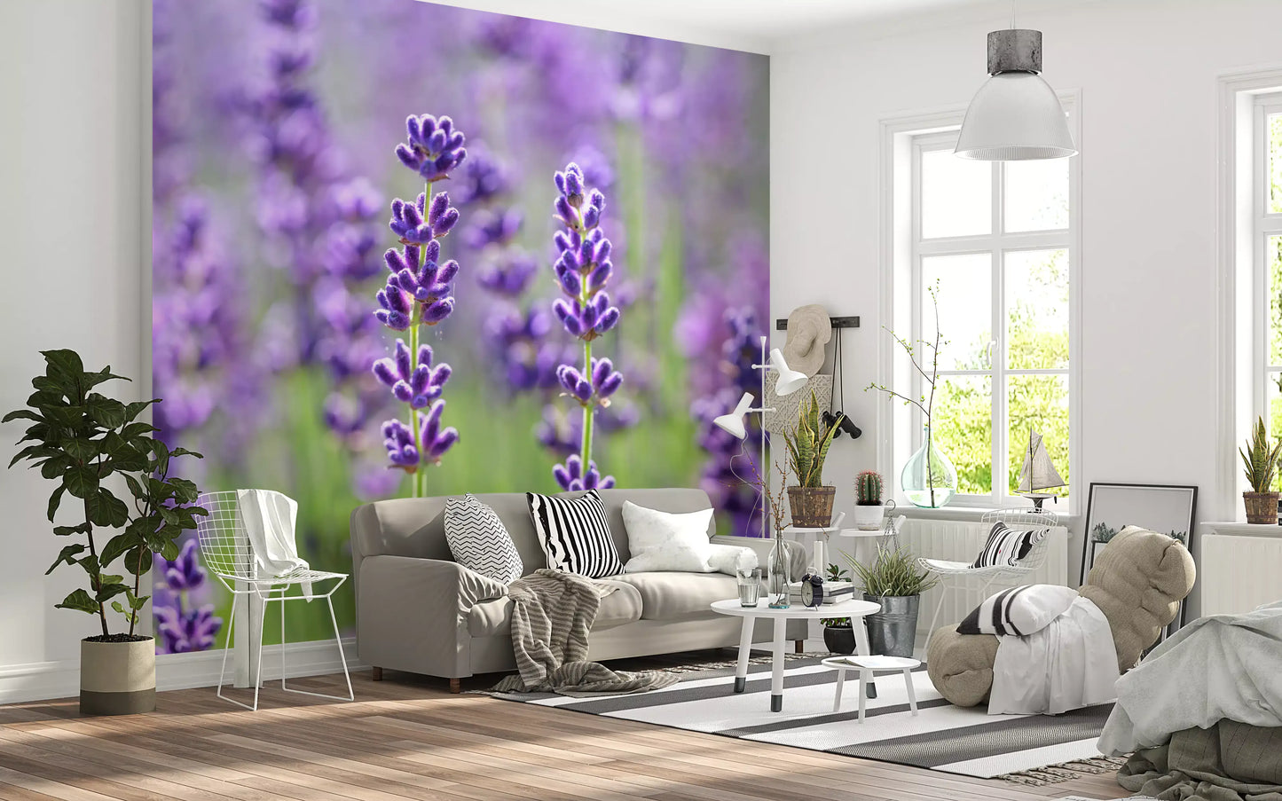Wandbild Sanfte Lavendelblüten