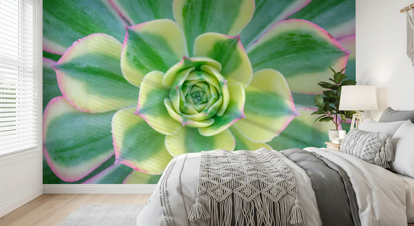 Murale da Parete Serenità Succulenta