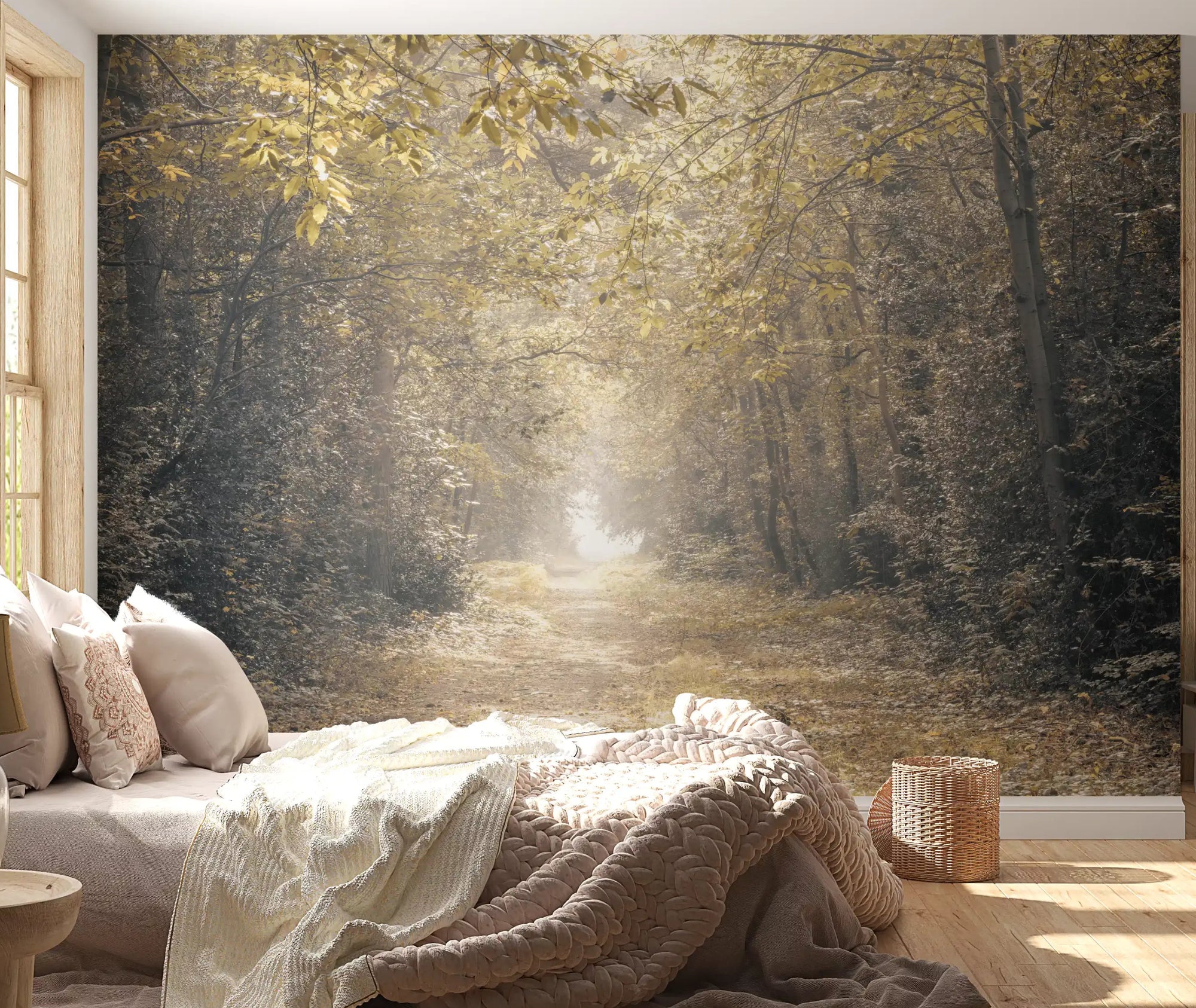 Forest pathway wall mural with glowing sunlight through trees