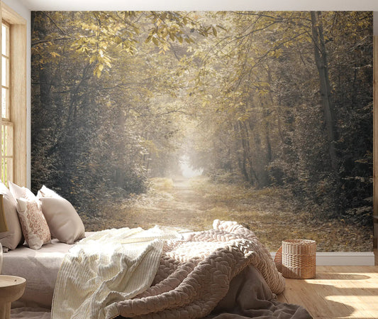 Forest pathway wall mural with glowing sunlight through trees