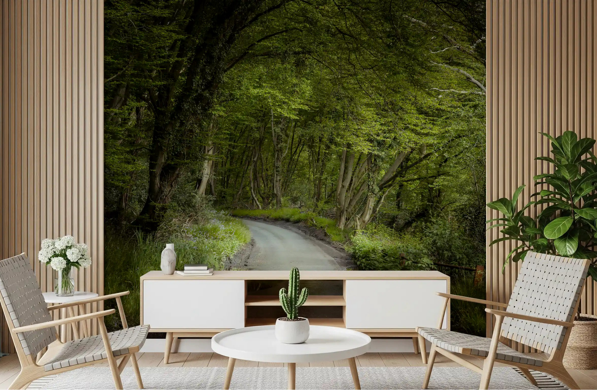 Woodland wall mural featuring sunlight through forest canopy