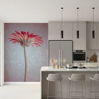 Elegante Tapete mit pinker Gerbera-Blüte als Wandbild