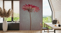Elegante Tapete mit pinker Gerbera-Blüte als Wandbild