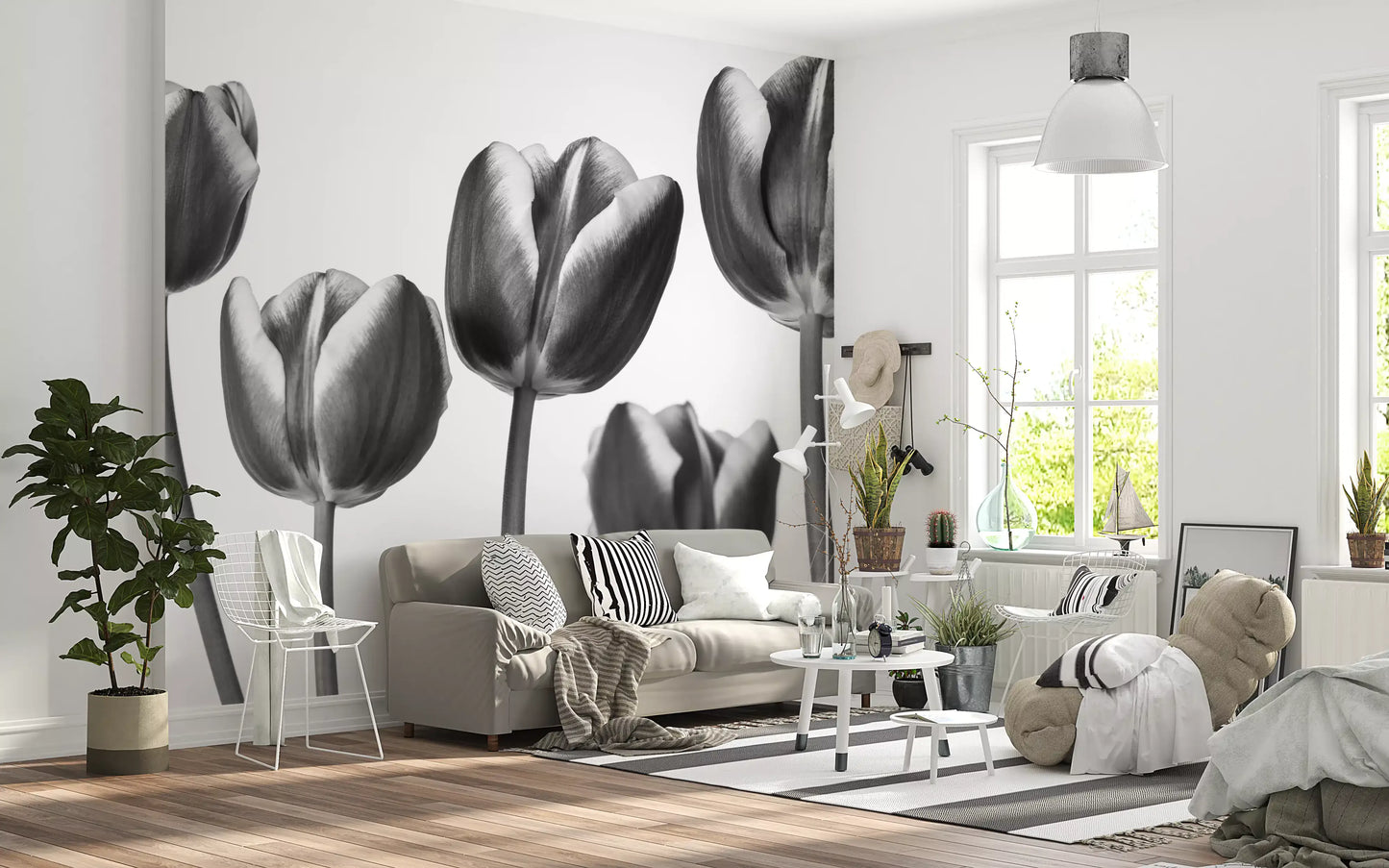 Elegant Monokrome Tulipaner Tapet Vægmural