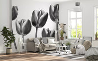 Elegant Monokrome Tulipaner Tapet Vægmural