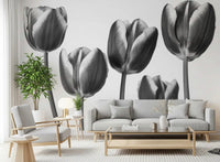 Elegant Monokrome Tulipaner Tapet Vægmural