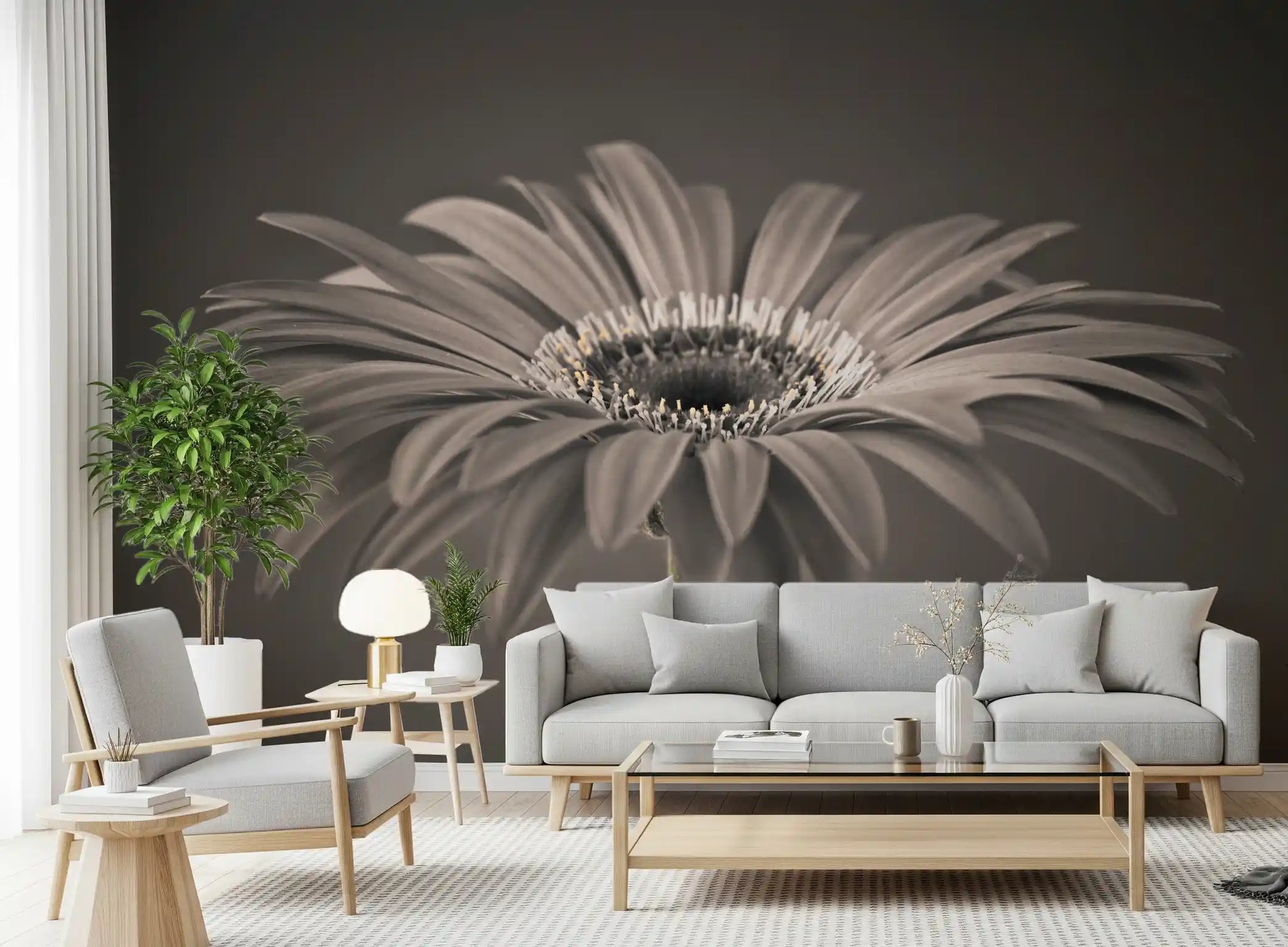 Sepia gerbera daisy centers a calm living room wall mural GD10920
