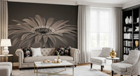 Serene Sepia Gerbera Daisy Macro Wall Mural