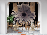 Petals of the Midnight Gerbera Wall Mural