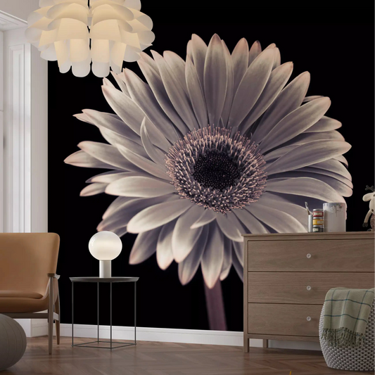 Silvery petals on black open a living room wall mural GD10925
