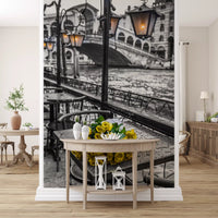 Venetian Rain with Golden Roses Wall Mural