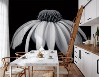 Monochrome Echinacea Bloom Wall Mural