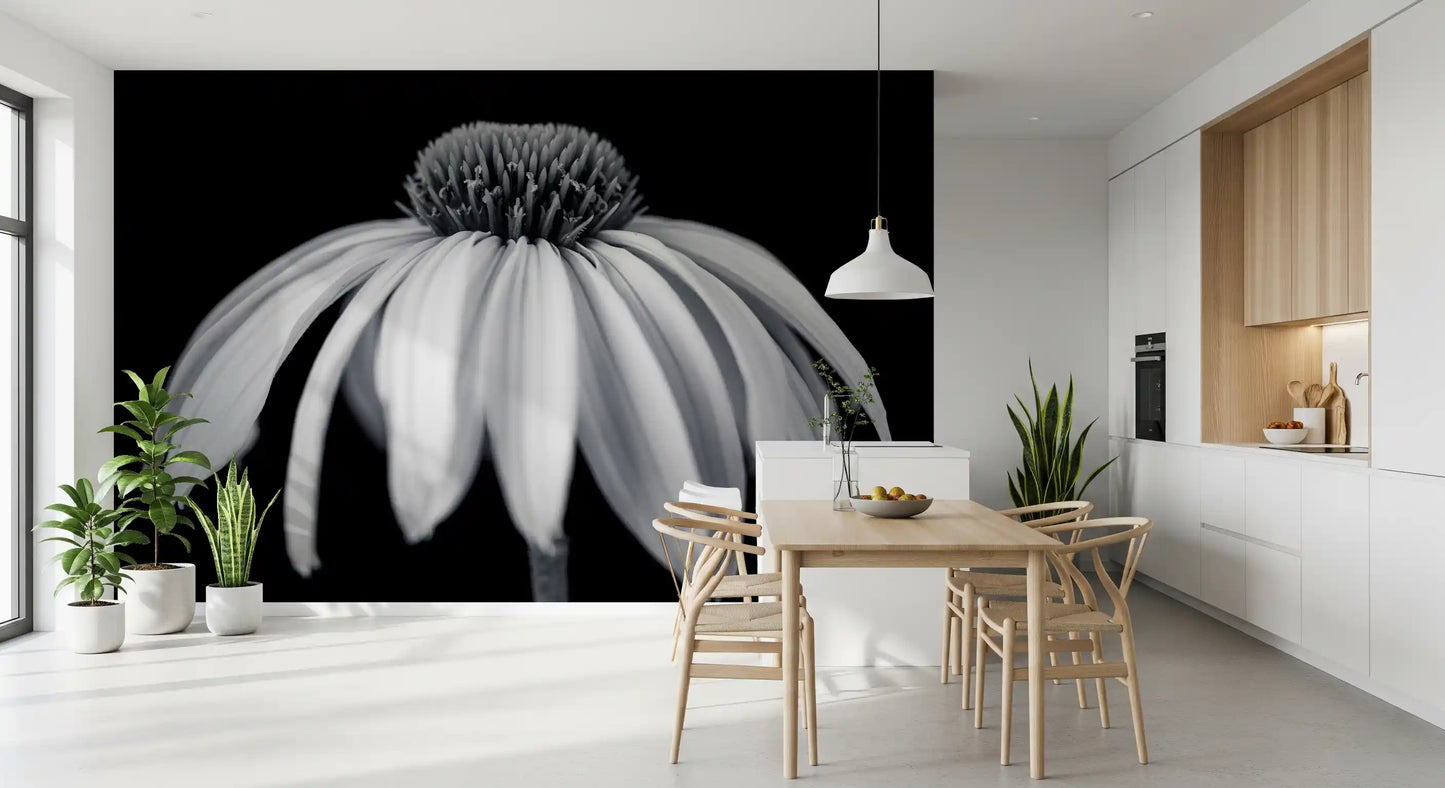 Monochrome Echinacea Bloom Wall Mural