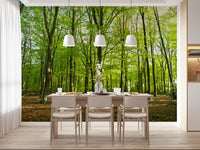Sunlit Spring Beech Grove Wall Mural