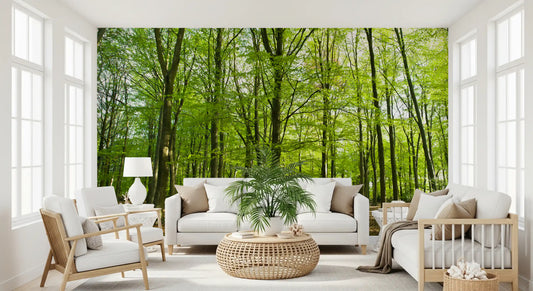 Sunlit Spring Beech Grove Wall Mural