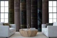 Vintage Library Book Spine Collection Wall Mural