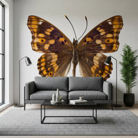 Papier peint mural Monarque ailé ambre