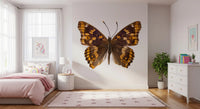 Papier peint mural Monarque ailé ambre