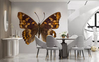 Papier peint mural Monarque ailé ambre