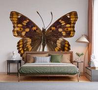 Papier peint mural Monarque ailé ambre