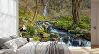 Papier peint mural cascade en haute montagne avec ruisseau en cascade