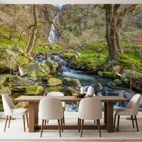 Papier peint mural cascade en haute montagne avec ruisseau en cascade