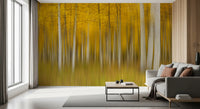 Golden Aspen Forest bevegelsesveggmaleri
