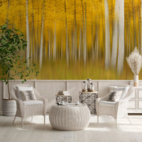 Golden Aspen Forest bevegelsesveggmaleri