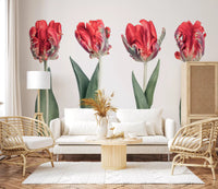 Crimson Parrot Tulip Study Wall Mural