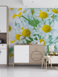 Frühlingswiese Blüten Wandbild