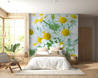 Frühlingswiese Blüten Wandbild