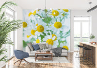 Frühlingswiese Blüten Wandbild