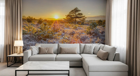 Frosty Morning Woodland Glow wall mural opening a living room to a sunrise, GD11426