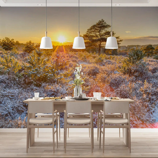 Golden dawn over frosted pines calming a bedroom, Woodland Glow wall mural, GD11426