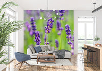 Vægmaleri med æteriske lilla blomsterstilke