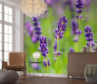 Vægmaleri med æteriske lilla blomsterstilke
