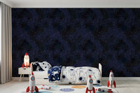 Carta da parati Midnight Stardust Ink Wash