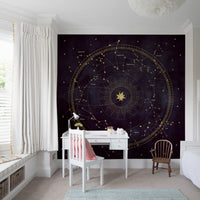 Papier peint panoramique mural Roue astrale aubergine