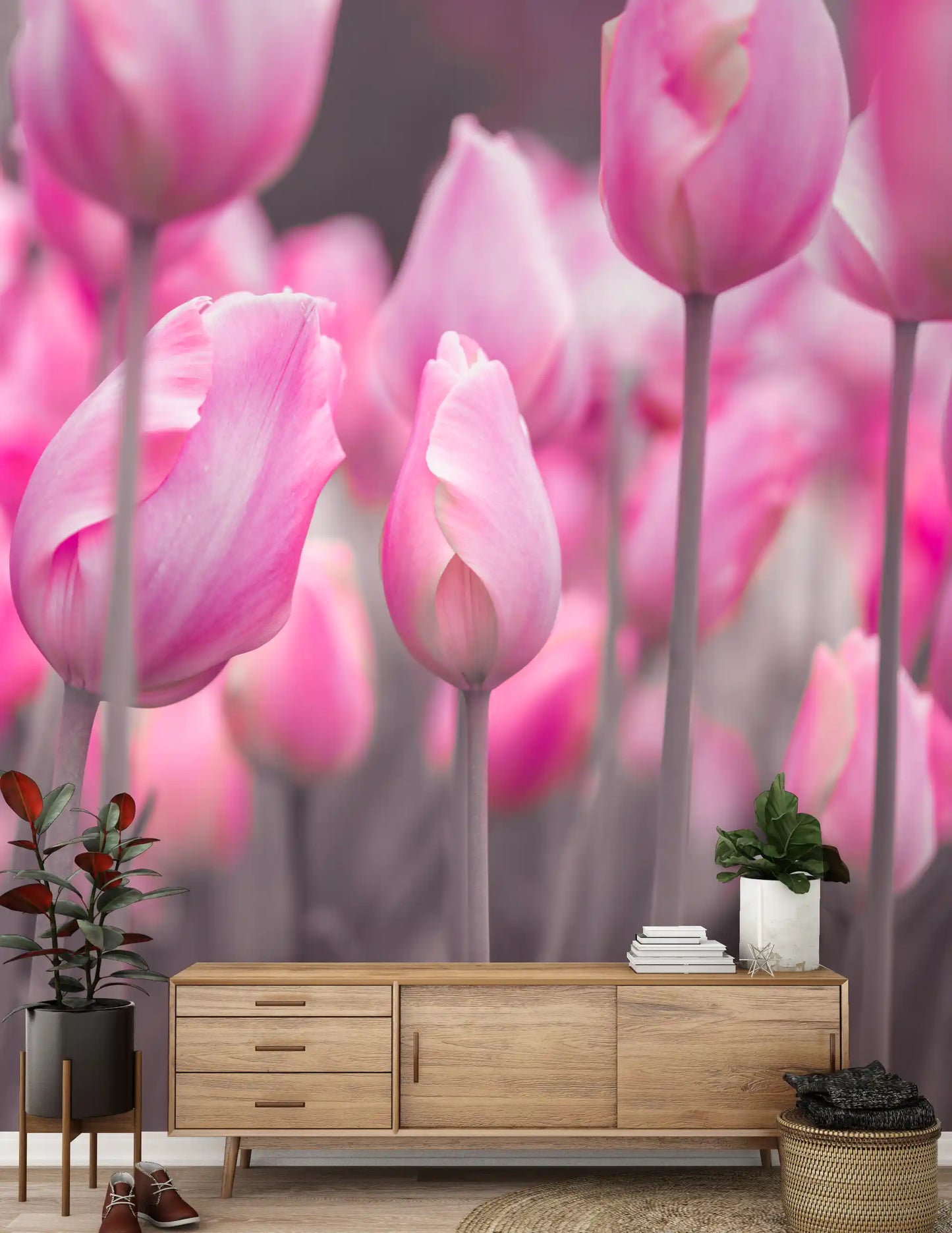 Spring Tulip Macro Study Wall Mural