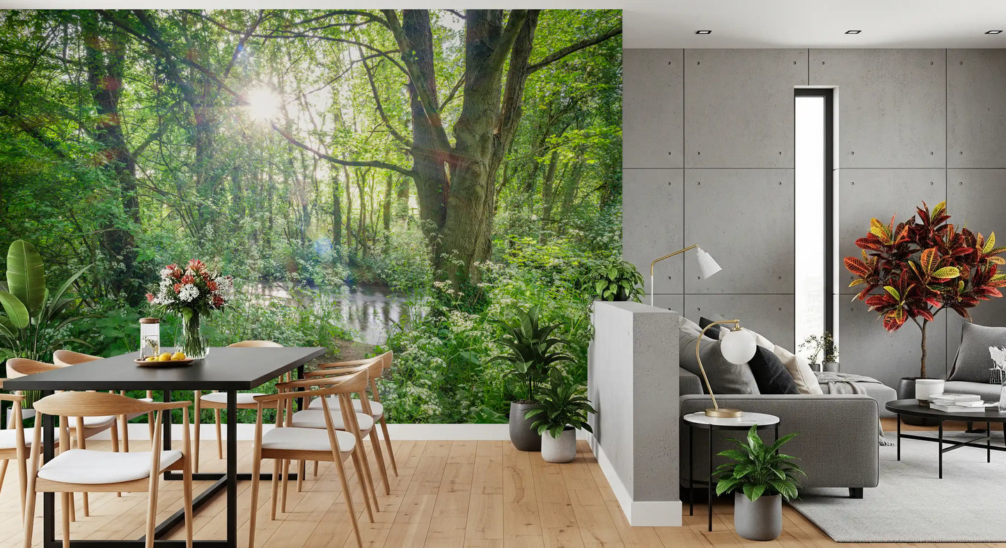 Enchanted Woodland Stream Path Wall Mural