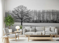 Wandbild „Morgenstimmung auf der nebligen Wiese“