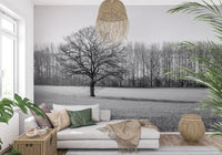Wandbild „Morgenstimmung auf der nebligen Wiese“